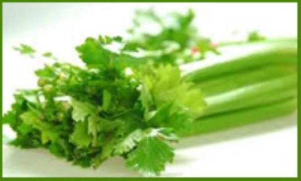 حقایق تغذیه ای کرفس حقایق تغذیه ای کرفس