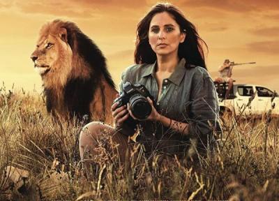 مستند جاسوس شیرها؛ ترکیبی نفس گیر از جاسوسی و مستند طبیعت