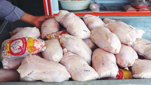 عرضه گسترده مرغ در بازار 5 هزار تومان مقرون به صرفه تر از قیمت مصوب