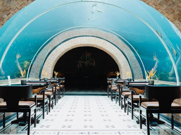 رستوران زیردریایی ایتها از معروف ترین مکان ها در مالدیو