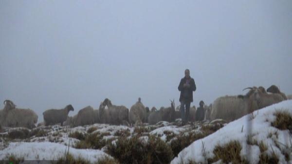 غافلگیری بارش نیم متر برف در دامنه های سبلان ؛ امدادرسانی به عشایر
