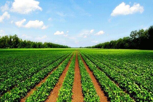 راه اندازی دهکده های فناوری و نوآوری کشاورزی در 9 استان